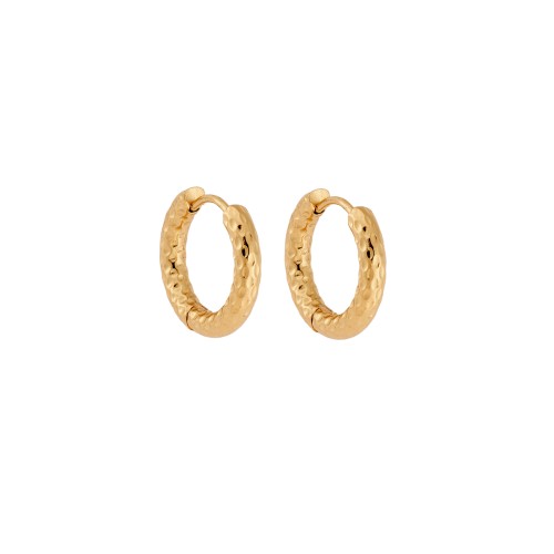 Σκουλαρίκια Γυναικεία SENZA, σφυρήλατοι κρίκοι από επιχρυσωμένο Ατσάλι - SSD5697-1GD