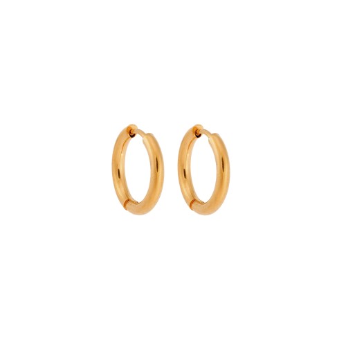 Σκουλαρίκια Γυναικεία SENZA Gold Plated Steel, κρικάκι 1.6 cm - SSD5734-2GD