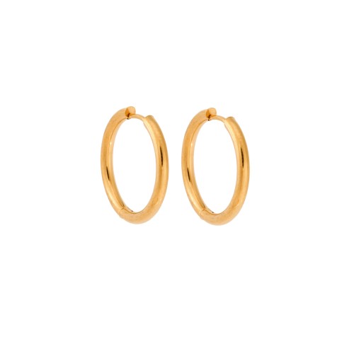 Σκουλαρίκια Γυναικεία SENZA Gold Plated Steel, κρικάκι 2.2 cm - SSD5734-5GD