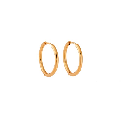 Σκουλαρίκια Γυναικεία SENZA Gold Plated Steel, κρικάκι 1.9 cm - SSD5735-1GD